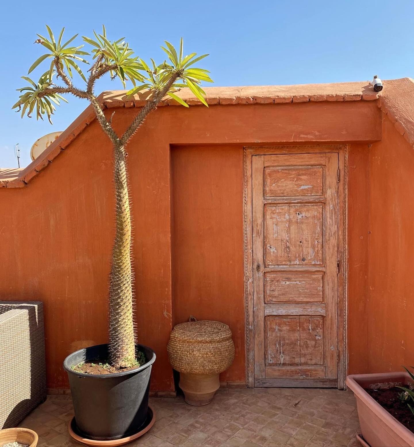 Riad Rossi Marrakesh Extérieur photo
